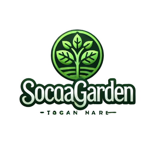 SOCOTRA-GARDEN